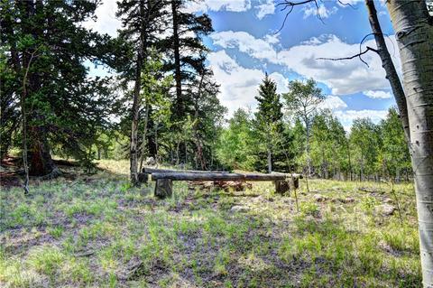 369 Ute Trl, Como, CO 80432 photo 4