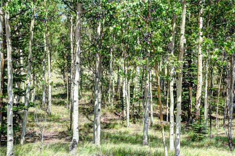 369 Ute Trl, Como, CO 80432 photo 17