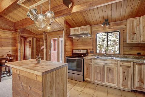 146 Climax Dr, Dillon, CO 80435 photo 5