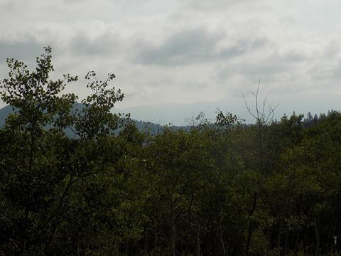 27 Duck Way, Como, CO 80432 photo 5