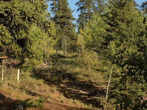 79 Kokoma Ln, Como, CO 80432 photo 3