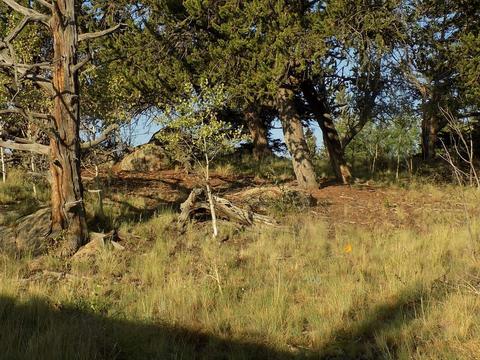 79 Kokoma Ln, Como, CO 80432 photo 7
