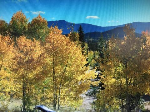 79 Kokoma Ln, Como, CO 80432 photo 21