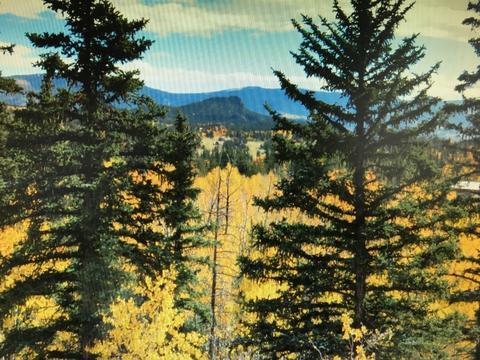79 Kokoma Ln, Como, CO 80432 photo 20