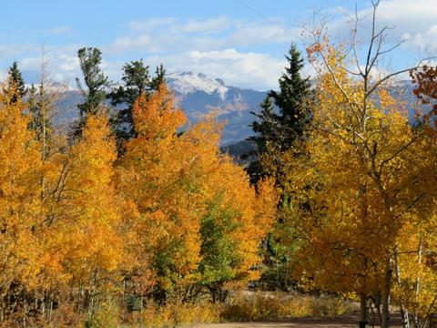 79 Kokoma Ln, Como, CO 80432 photo 2