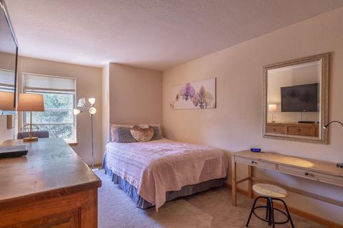 307 Red Hawk Cir, Silverthorne, CO 80498 photo 5