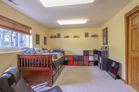 307 Red Hawk Cir, Silverthorne, CO 80498 photo 13