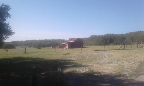 245 Mount Guyot Cir, Jefferson, CO 80456 photo 4