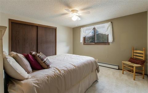 312 Alpine Rd, Dillon, CO 80435 photo 16