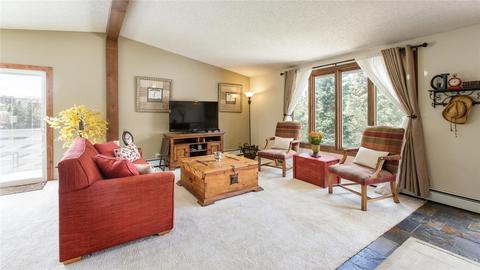 312 Alpine Rd, Dillon, CO 80435 photo 1