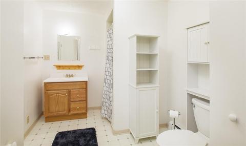 312 Alpine Rd, Dillon, CO 80435 photo 21