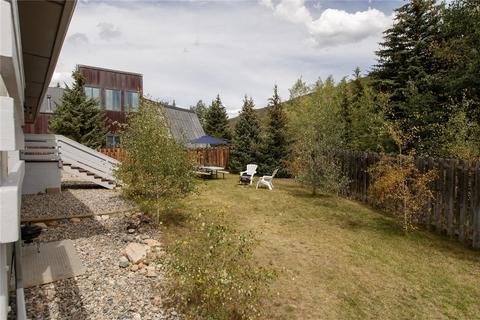 312 Alpine Rd, Dillon, CO 80435 photo 25