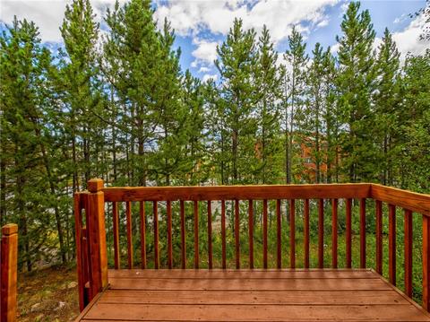 44 Ryan Gulch Rd #C2, Silverthorne, CO 80498 photo 22