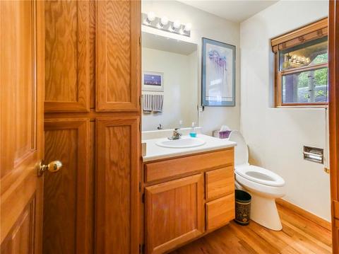 44 Ryan Gulch Rd #C2, Silverthorne, CO 80498 photo 8