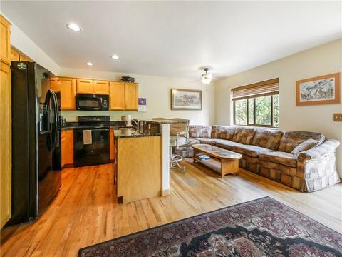 44 Ryan Gulch Rd #C2, Silverthorne, CO 80498 photo 4