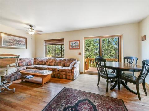 44 Ryan Gulch Rd #C2, Silverthorne, CO 80498 photo 1