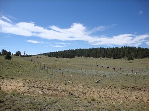 458 Vaquero Way, Como, CO 80432 photo 18