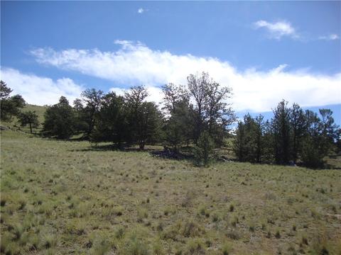 458 Vaquero Way, Como, CO 80432 photo 4
