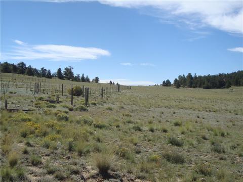 458 Vaquero Way, Como, CO 80432 photo 9