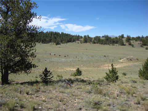 458 Vaquero Way, Como, CO 80432 photo 6