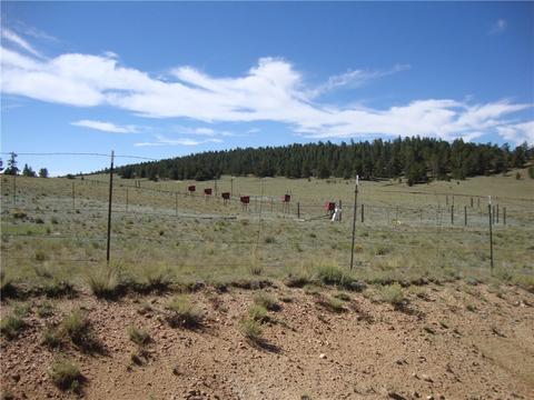 458 Vaquero Way, Como, CO 80432 photo 13
