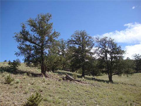 458 Vaquero Way, Como, CO 80432 photo 8