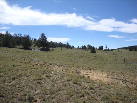 458 Vaquero Way, Como, CO 80432 photo 17