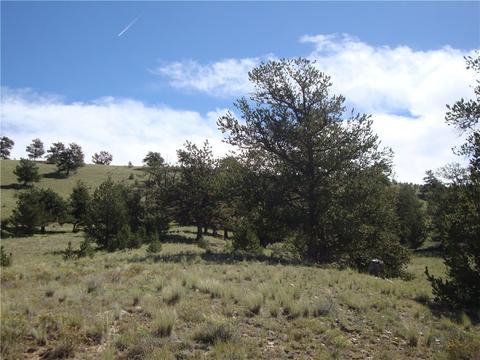 458 Vaquero Way, Como, CO 80432 photo 5