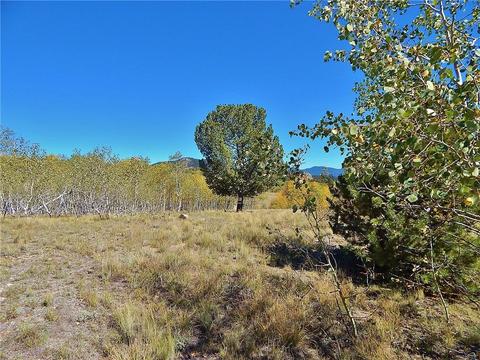 37 Arrowhead Dr, Como, CO 80432 photo 10
