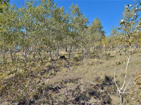 37 Arrowhead Dr, Como, CO 80432 photo 25