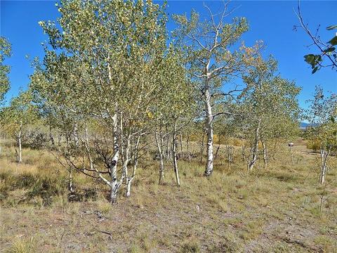 37 Arrowhead Dr, Como, CO 80432 photo 22