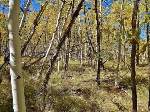 37 Arrowhead Dr, Como, CO 80432 photo 16