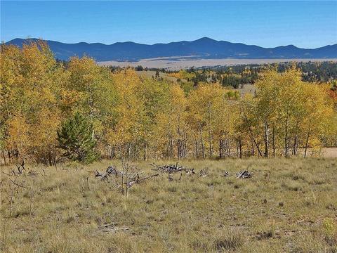 37 Arrowhead Dr, Como, CO 80432 photo 5
