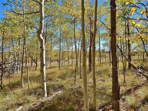 37 Arrowhead Dr, Como, CO 80432 photo 14