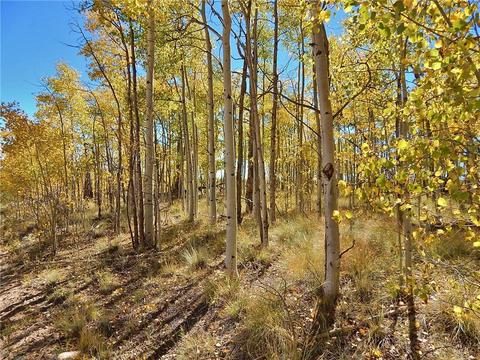 37 Arrowhead Dr, Como, CO 80432 photo 18