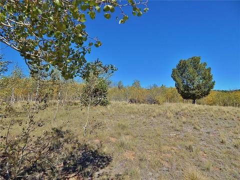 37 Arrowhead Dr, Como, CO 80432 photo 24