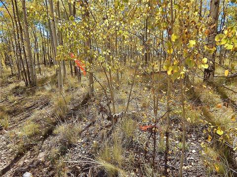 37 Arrowhead Dr, Como, CO 80432 photo 17