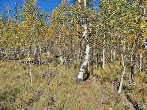 37 Arrowhead Dr, Como, CO 80432 photo 8