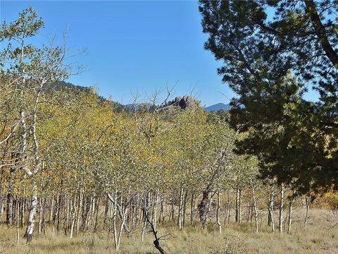 37 Arrowhead Dr, Como, CO 80432 photo 11