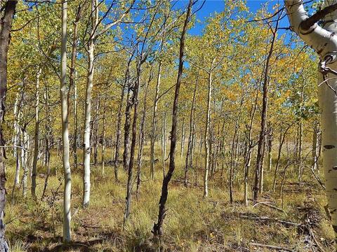 37 Arrowhead Dr, Como, CO 80432 photo 13