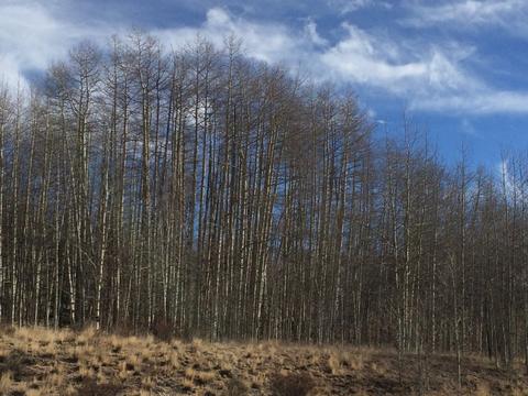 189 Puma Ct, Como, CO 80432 photo 7