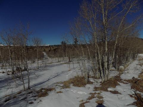 23 Chase Ln, Como, CO 80432 photo 1