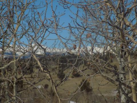 23 Chase Ln, Como, CO 80432 photo 6