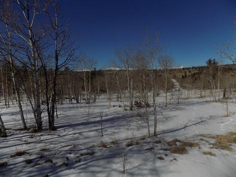 23 Chase Ln, Como, CO 80432 photo 2