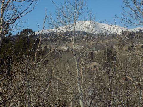 23 Chase Ln, Como, CO 80432 photo 7