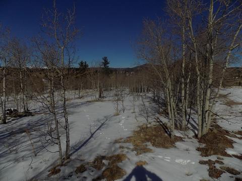 23 Chase Ln, Como, CO 80432 photo 5