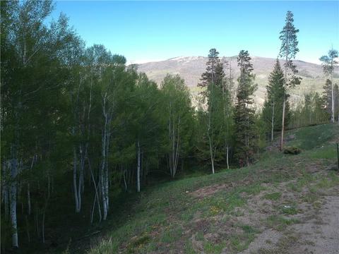 2175 Golden Eagle Rd, Silverthorne, CO 80498 photo 2