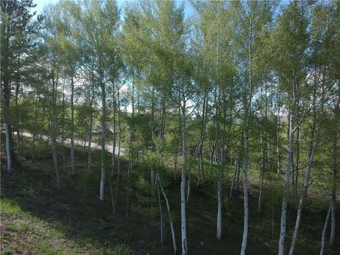 2175 Golden Eagle Rd, Silverthorne, CO 80498 photo 20