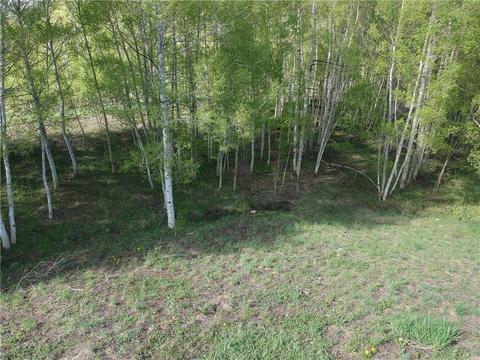 2175 Golden Eagle Rd, Silverthorne, CO 80498 photo 19