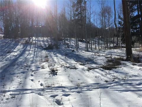 2175 Golden Eagle Rd, Silverthorne, CO 80498 photo 27